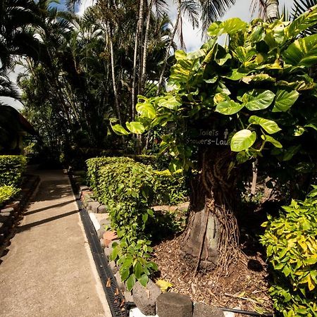 Sarina Palms Caravan And Cabins Village Exterior foto